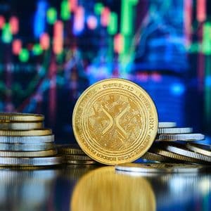 How One Crypto Founder Is Using XRP To Build The Future Of Finance
