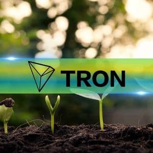How Well Did the Tron Network Perform in 2025? CryptoQuant Offers Insights