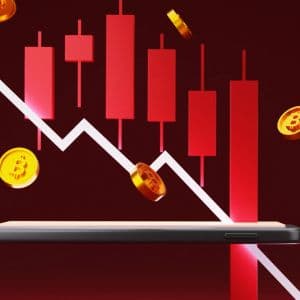 0xPPL, Pingu announce shutdown plans as crypto winter persists