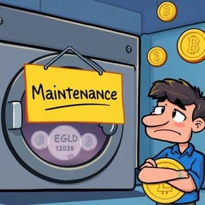 Crucial Bithumb EGLD Suspension: What MultiversX Holders Must Know