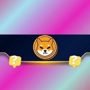 Shiba Inu (SHIB) Investors Face Big Questions After 65% Yearly Collapse