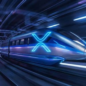 XRP whale inflows to Binance fall after 2025 peak