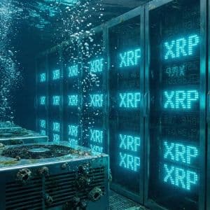 XRP inflows to Binance fall sharply after 2025 peak